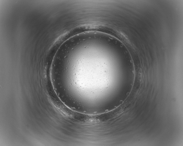 X0000080130543200612081233