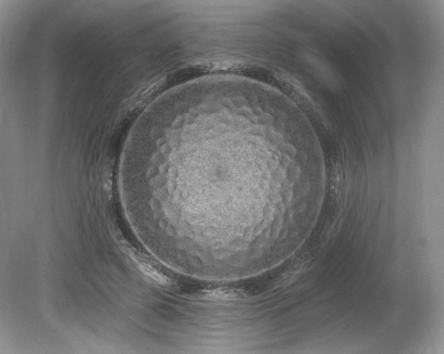 X0000080130545200612081233