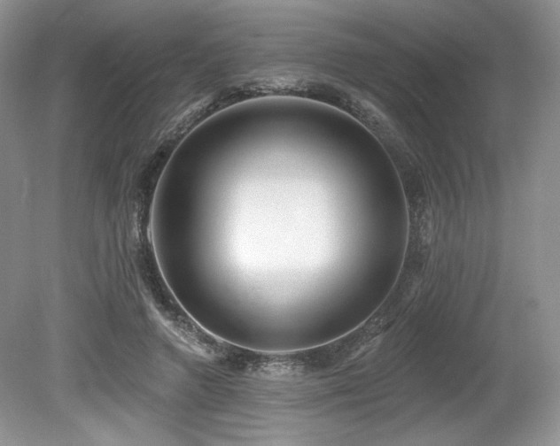 X0000080130546200612081233