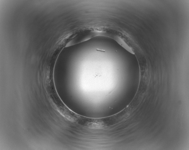 X0000080130548200612081233