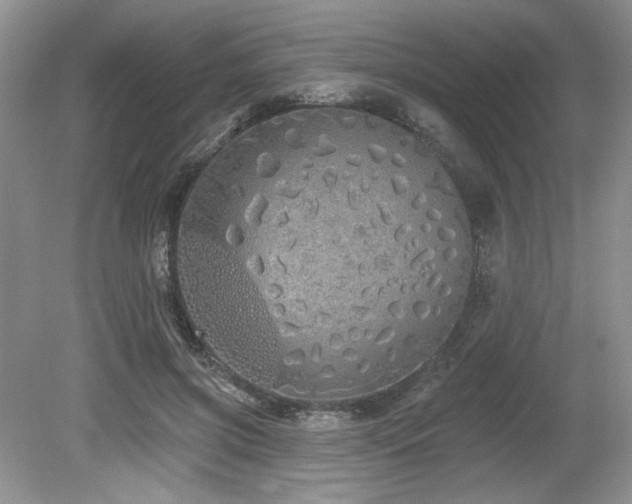 X0000080130549200612081233