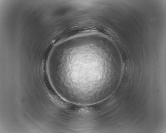 X0000080130550200612081233