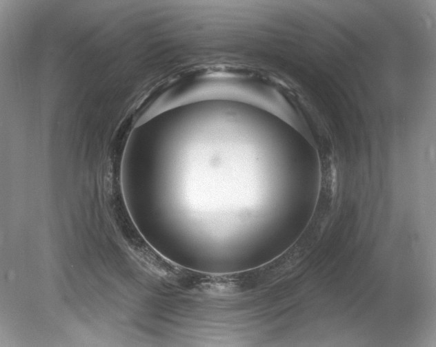 X0000080130552200612081233