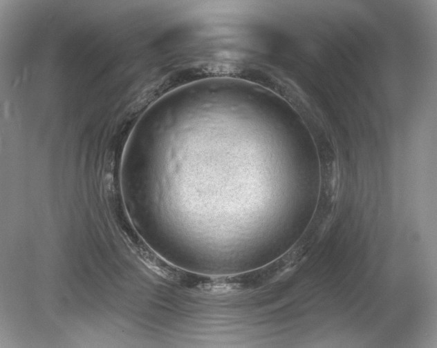 X0000080130553200612081233