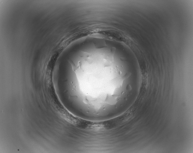 X0000080130554200612081233