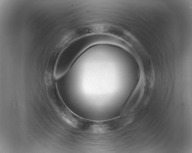 X0000080130556200612081233