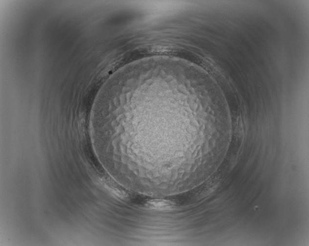 X0000080130557200612081233