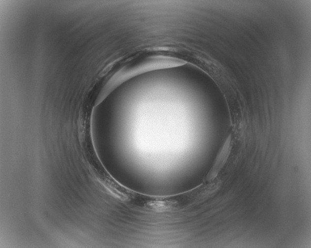 X0000080130558200612081233