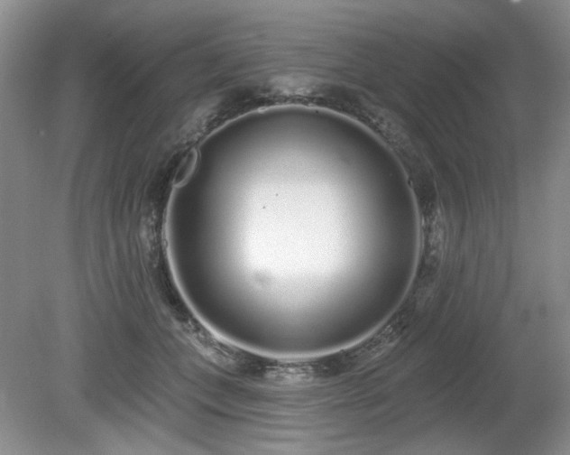 X0000080130559200612081233