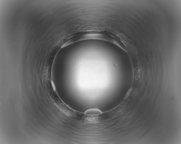 X0000080130560200612081233