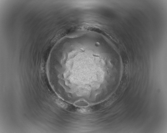 X0000080130561200612081233