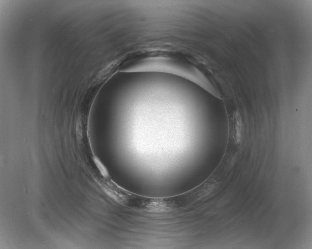 X0000080130562200612081233