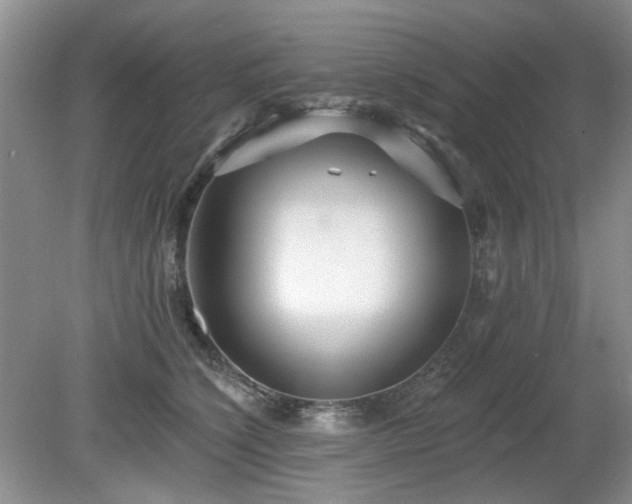 X0000080130564200612081233