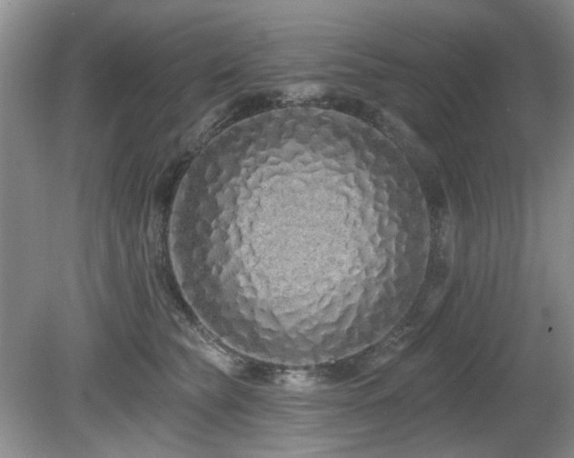 X0000080130565200612081233