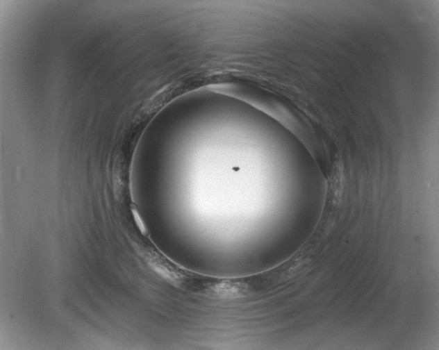 X0000080130566200612081233