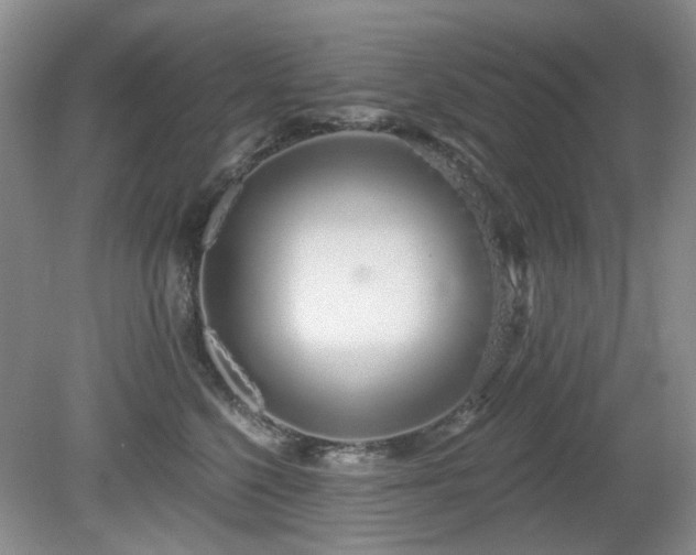 X0000080130568200612081233