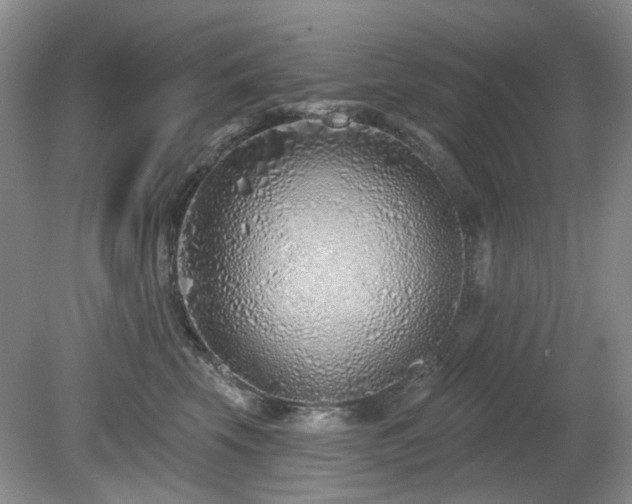 X0000080130569200612081233