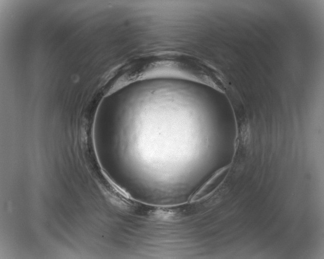 X0000080130570200612081233