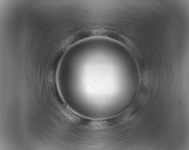 X0000080130571200612081233