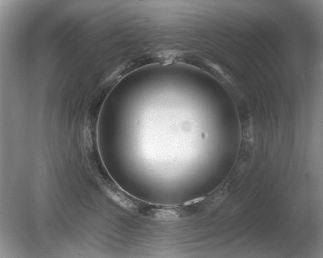 X0000080130572200612081233