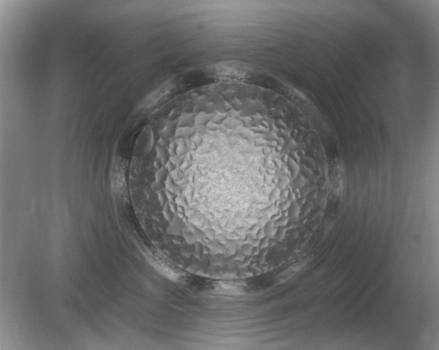 X0000080130573200612081233