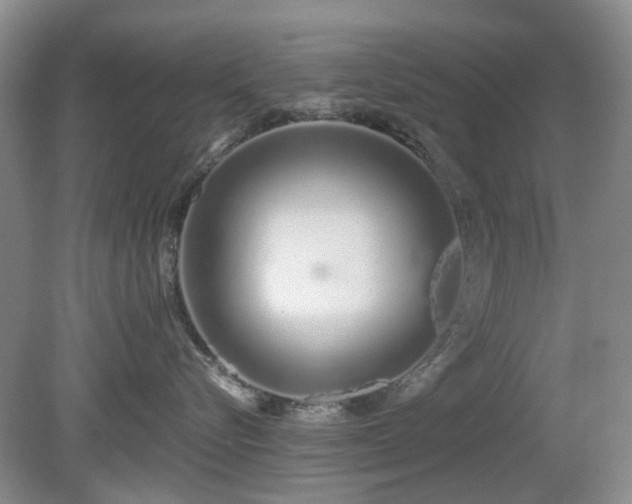 X0000080130576200612081233