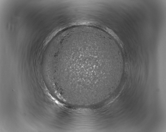 X0000080130577200612081232