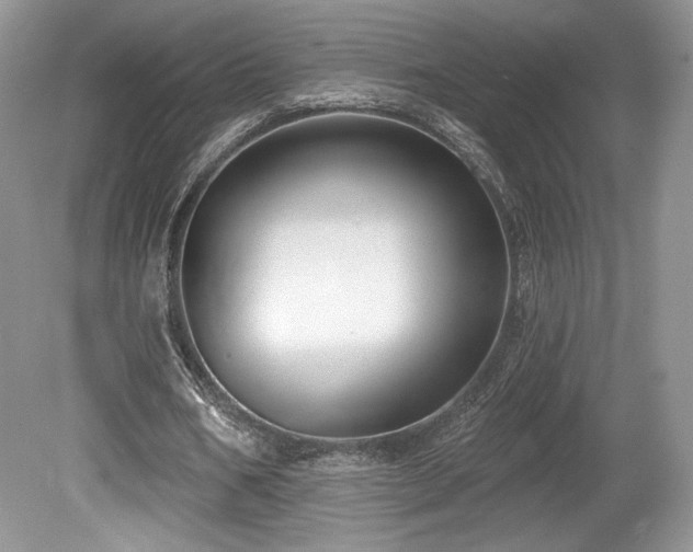 X0000080130578200612081232