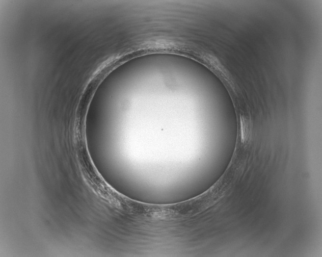 X0000080130579200612081232