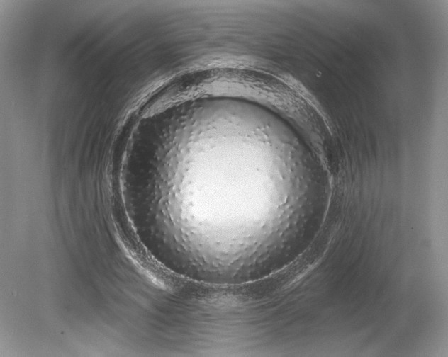 X0000080130581200612081232