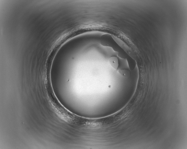 X0000080130582200612081232