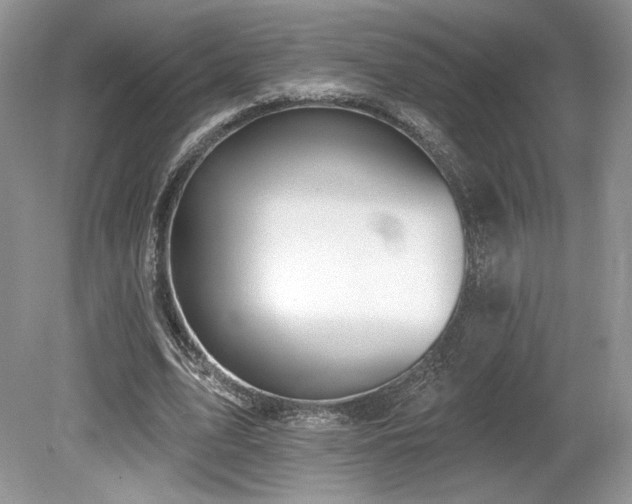 X0000080130583200612081232