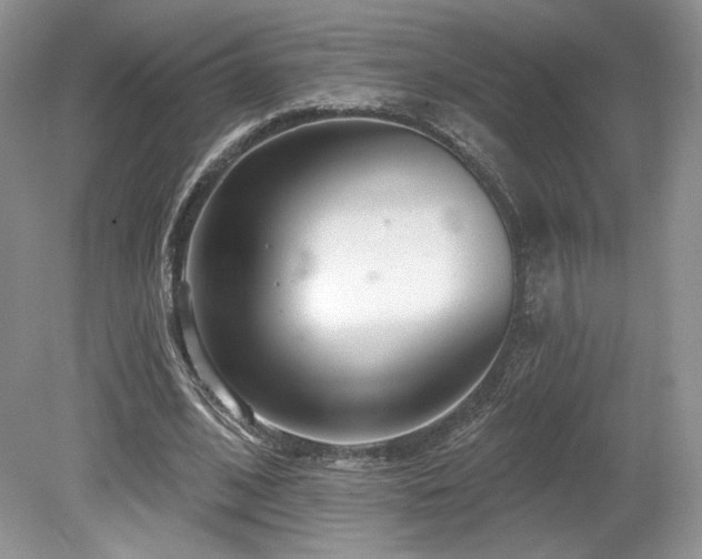 X0000080130584200612081232