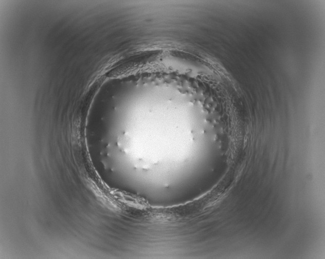 X0000080130585200612081232