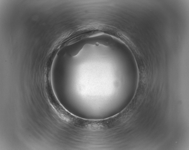 X0000080130586200612081232