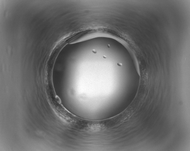 X0000080130587200612081232