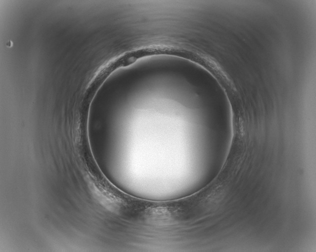 X0000080130588200612081232