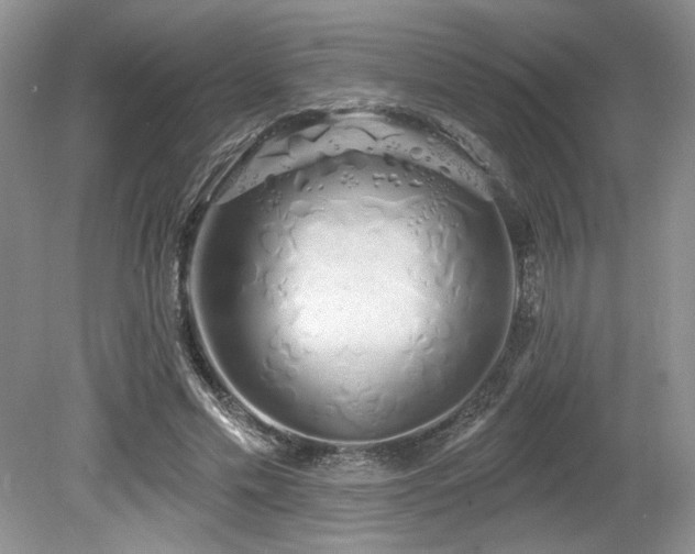 X0000080130589200612081232