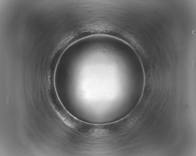 X0000080130590200612081232