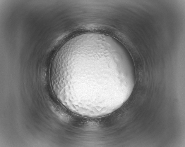 X0000080130592200612081232