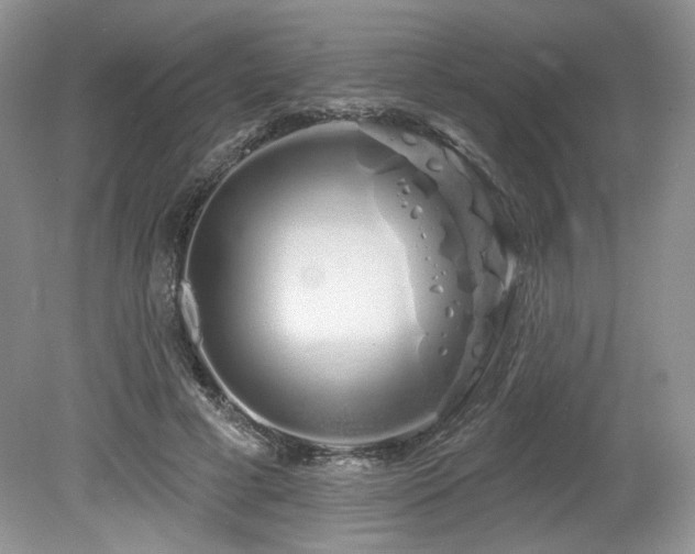 X0000080130593200612081232