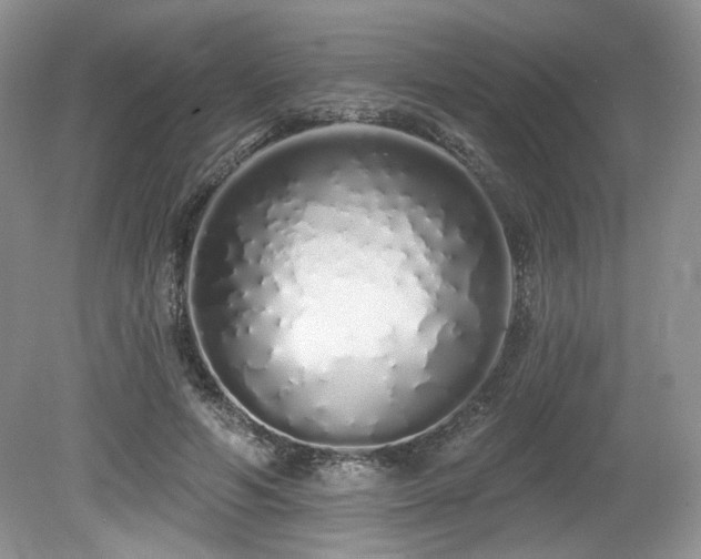 X0000080130594200612081232