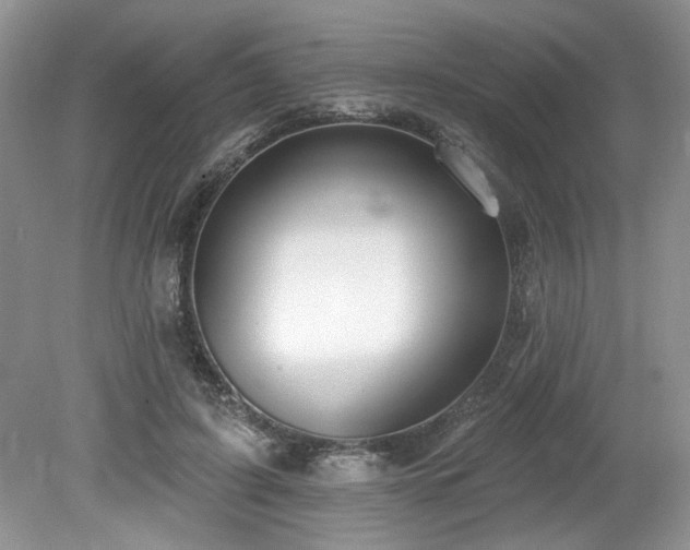 X0000080130595200612081232