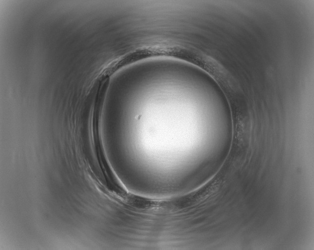 X0000080130596200612081232