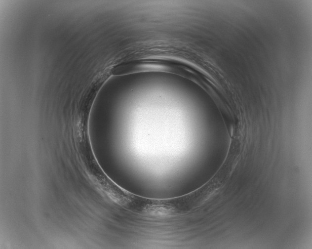 X0000080130597200612081232