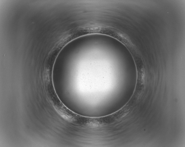 X0000080130598200612081232