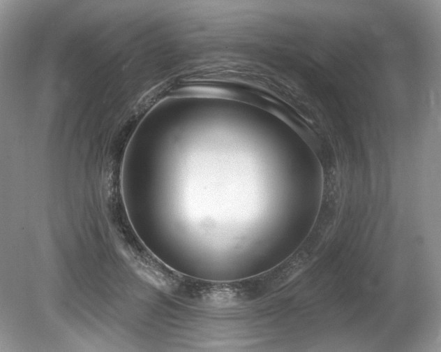 X0000080130600200612081232