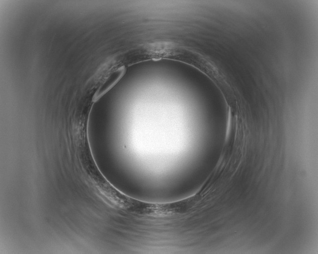 X0000080130601200612081232