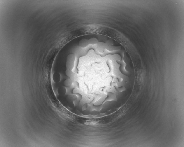 X0000080130602200612081232