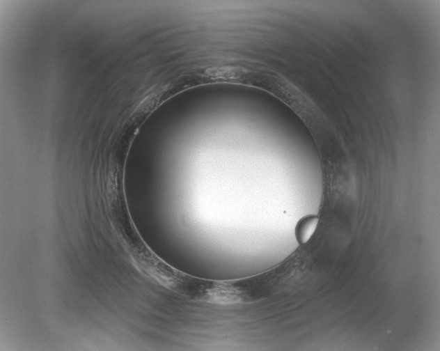 X0000080130603200612081232